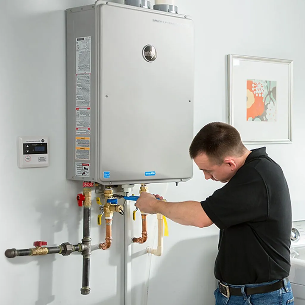 tankless water heater repair in New burnside, IL